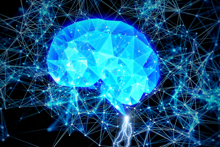 Rewire Your Brain For Successful Trading With the Help of Neuroplasticity