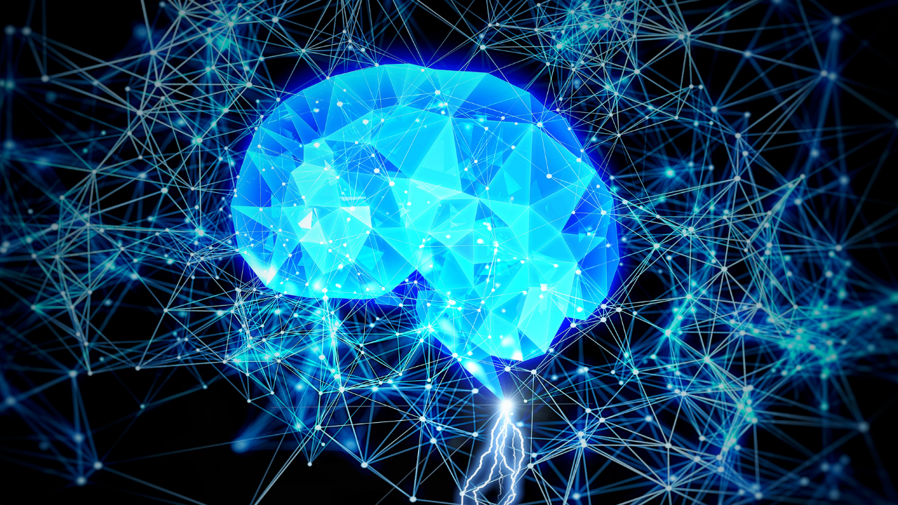 Rewire Your Brain For Successful Trading With the Help of Neuroplasticity