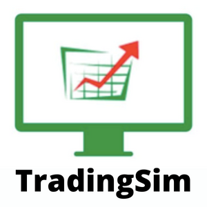TradingSim - #1 Rated Makret Simulator:Replay Platform